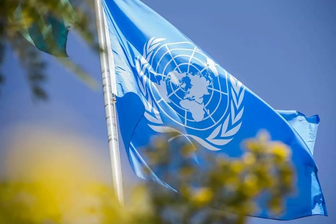 原创 | 联合国五常都是狠角色？